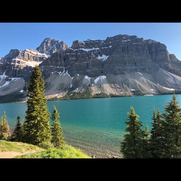 Meet your Posher, Farzana - Picture 1 of 1